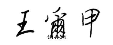 王正良王尔甲行书个性签名怎么写