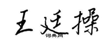 王正良王廷操行书个性签名怎么写