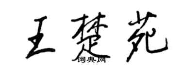 王正良王楚苑行书个性签名怎么写