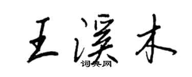 王正良王溪木行书个性签名怎么写