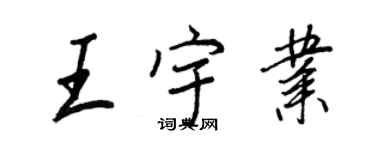 王正良王宇业行书个性签名怎么写