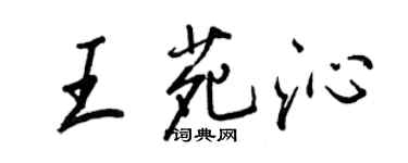 王正良王苑沁行书个性签名怎么写