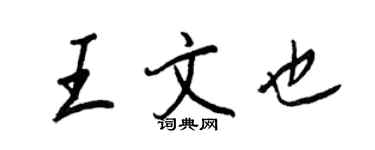 王正良王文也行书个性签名怎么写