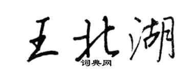 王正良王北湖行书个性签名怎么写