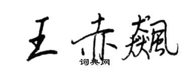 王正良王赤飙行书个性签名怎么写