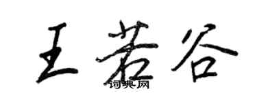 王正良王若谷行书个性签名怎么写