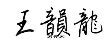 王正良王韵龙行书个性签名怎么写