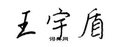 王正良王宇盾行书个性签名怎么写