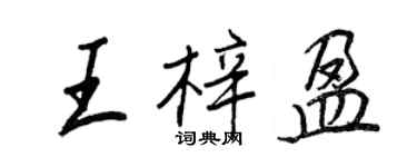 王正良王梓盈行书个性签名怎么写