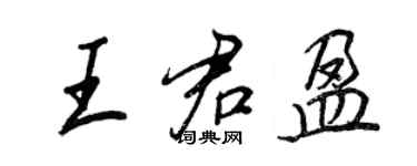 王正良王君盈行书个性签名怎么写