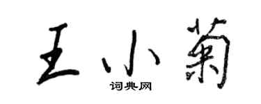 王正良王小菊行书个性签名怎么写
