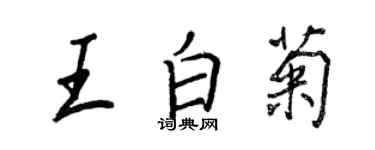 王正良王白菊行书个性签名怎么写