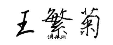 王正良王繁菊行书个性签名怎么写