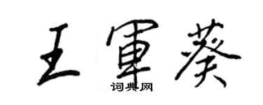 王正良王军葵行书个性签名怎么写