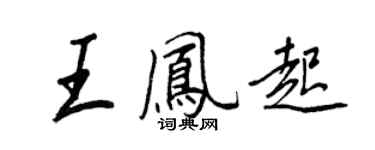 王正良王凤起行书个性签名怎么写