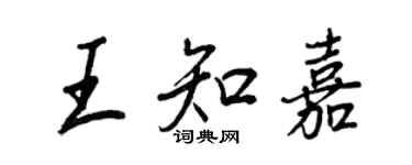 王正良王知嘉行书个性签名怎么写