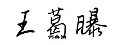王正良王葛曝行书个性签名怎么写