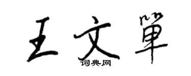 王正良王文单行书个性签名怎么写
