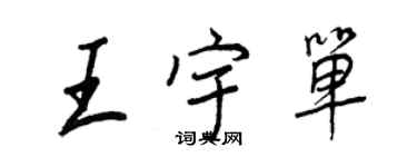 王正良王宇单行书个性签名怎么写