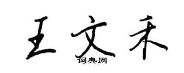 王正良王文禾行书个性签名怎么写