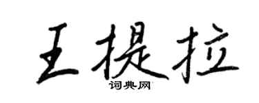 王正良王提拉行书个性签名怎么写
