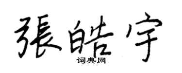 王正良张皓宇行书个性签名怎么写