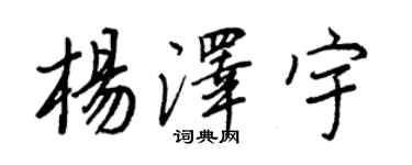 王正良杨泽宇行书个性签名怎么写