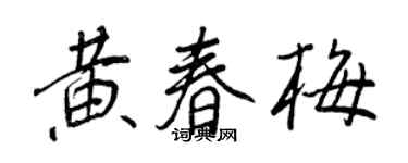 王正良黄春梅行书个性签名怎么写