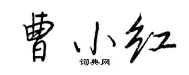 王正良曹小红行书个性签名怎么写