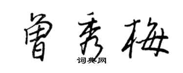 王正良曾秀梅行书个性签名怎么写