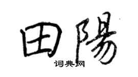 王正良田阳行书个性签名怎么写