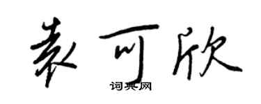 王正良袁可欣行书个性签名怎么写