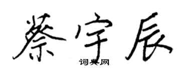 王正良蔡宇辰行书个性签名怎么写
