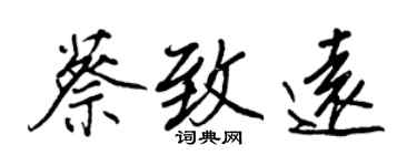 王正良蔡致远行书个性签名怎么写