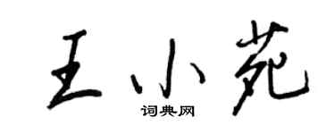 王正良王小苑行书个性签名怎么写