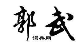 胡问遂郭武行书个性签名怎么写