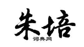 胡问遂朱培行书个性签名怎么写