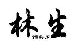 胡问遂林生行书个性签名怎么写