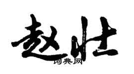 胡问遂赵壮行书个性签名怎么写