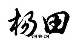 胡问遂杨田行书个性签名怎么写