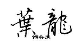 王正良叶龙行书个性签名怎么写