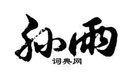 胡问遂孙雨行书个性签名怎么写