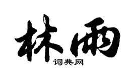 胡问遂林雨行书个性签名怎么写