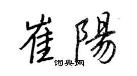 王正良崔阳行书个性签名怎么写