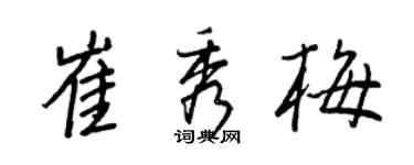 王正良崔秀梅行书个性签名怎么写