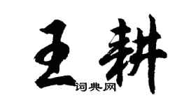 胡问遂王耕行书个性签名怎么写