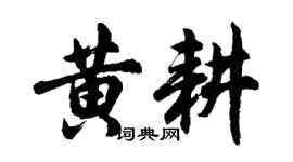 胡问遂黄耕行书个性签名怎么写