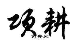 胡问遂项耕行书个性签名怎么写
