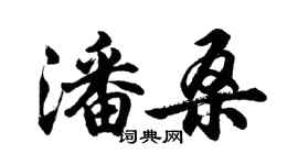 胡问遂潘桑行书个性签名怎么写