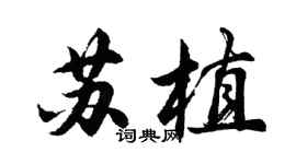 胡问遂苏植行书个性签名怎么写